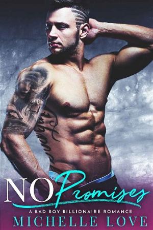 No Promises by Michelle Love
