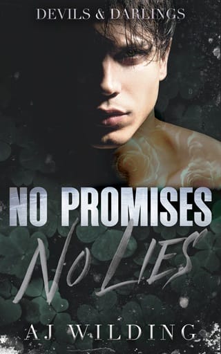 No Promises, No Lies by AJ Wilding