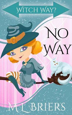No Way by M L Briers
