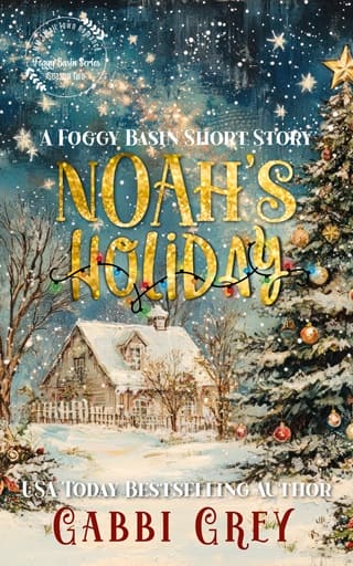 Noah’s Holiday by Gabbi Grey