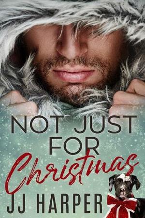 Not Just For Christmas by J.J. Harper