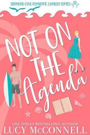 Not on the Agenda by Lucy McConnell