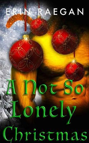 Not So Lonely Christmas by Erin Raegan