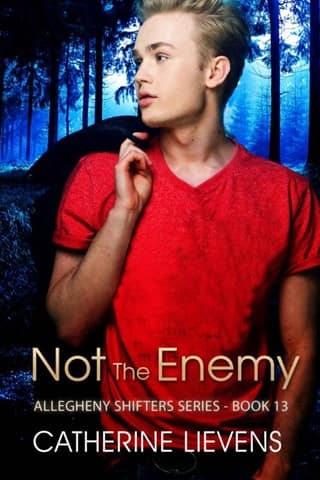 Not the Enemy by Catherine Lievens
