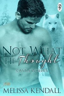 Not What He Thought by Melissa Kendall