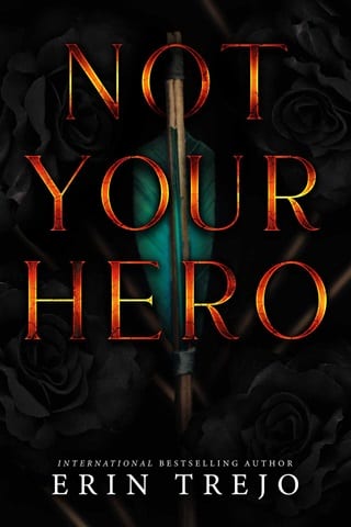 Not Your Hero by Erin Trejo