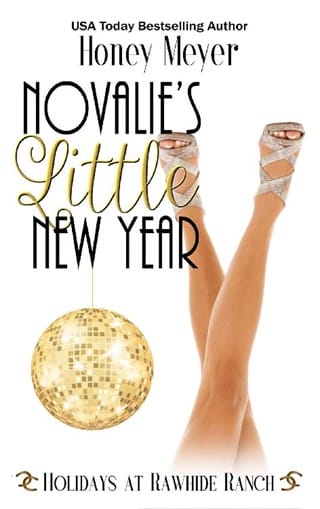 Novalie’s Little New Year by Honey Meyer