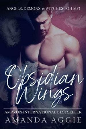 Obsidian Wings by Amanda Aggie