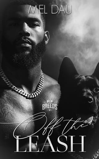 Off the Leash by Mel Dau
