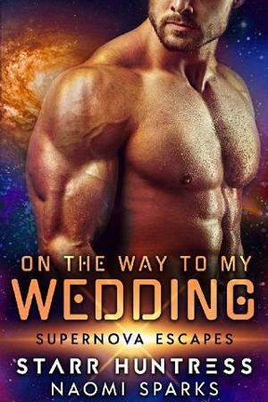 On The Way To My Wedding by Naomi Sparks