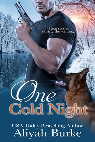 One Cold Night by Aliyah Burke