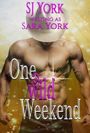 One Wild Weekend by Sara York