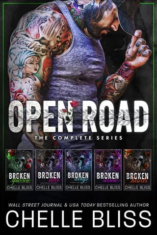 Open Road Series: The Complete Series by Chelle Bliss