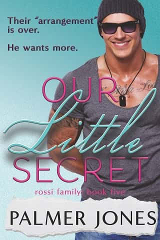 Our Little Secret by Palmer Jones