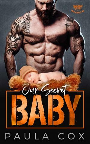 Our Secret Baby by Paula Cox