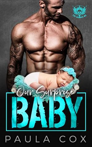 Our Surprise Baby by Paula Cox