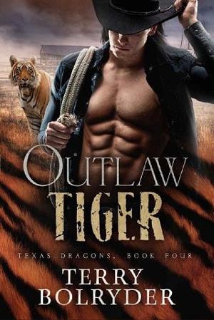Outlaw Tiger by Terry Bolryder