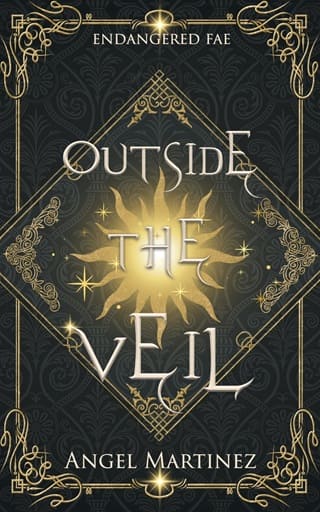 Outside the Veil by Angel Martinez