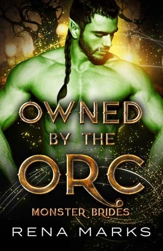 Owned By The Orc by Rena Marks
