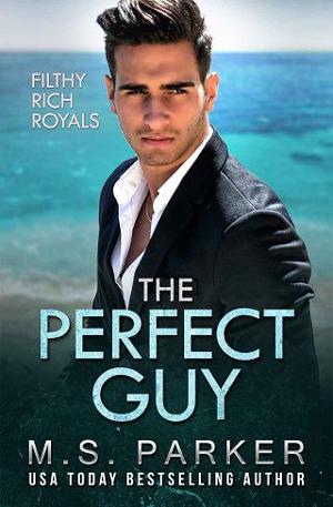 The Perfect Guy by M.S. Parker