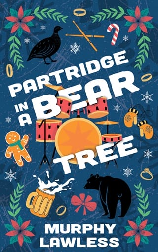 Partridge in a Bear Tree by Murphy Lawless