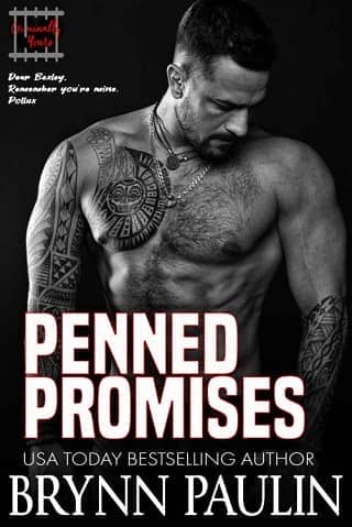 Penned Promises by Brynn Paulin