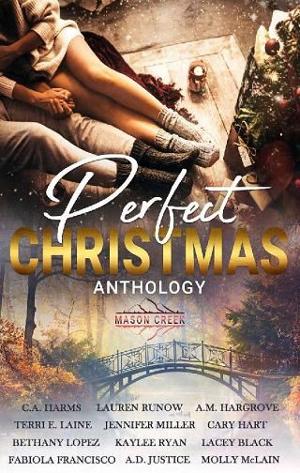 Perfect Christmas by Lauren Runow