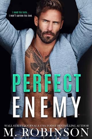 Perfect Enemy by M. Robinson