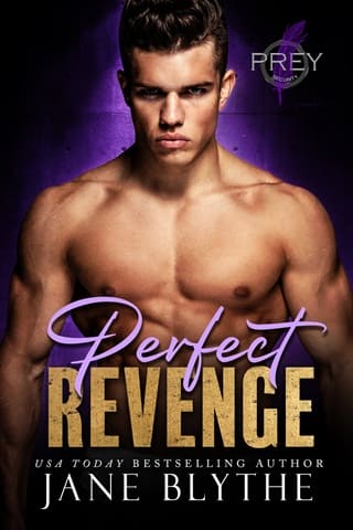 Perfect Revenge by Jane Blythe