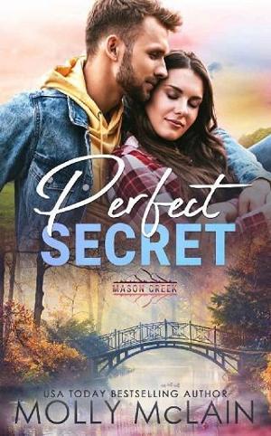 Perfect Secret by Molly McLain