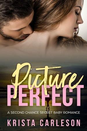 Picture Perfect by Krista Carleson