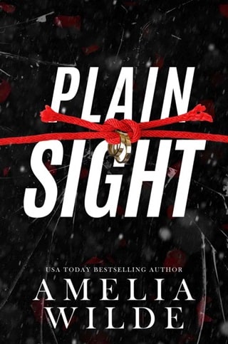 Plain Sight by Amelia Wilde