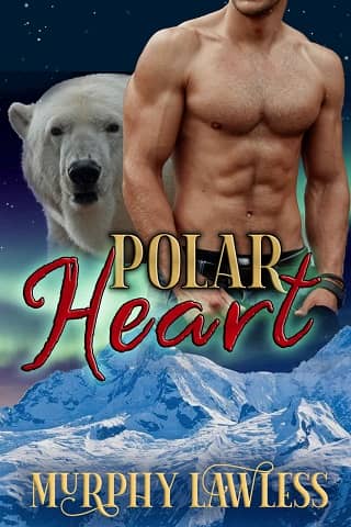 Polar Heart by Murphy Lawless