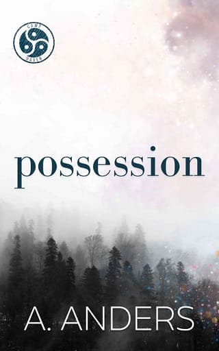 Possession by Adriana Anders