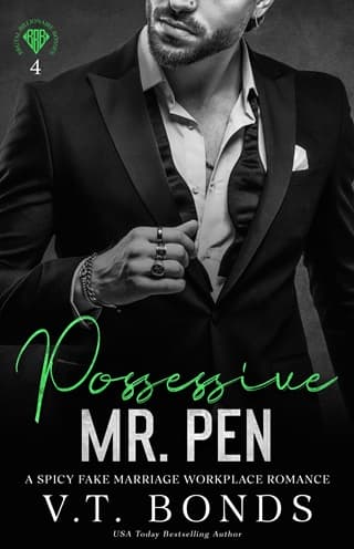 Possessive Mr. Pen by V.T. Bonds