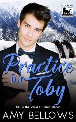 Practice for Toby by Amy Bellows