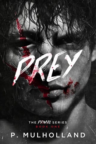 Prey by P Mulholland