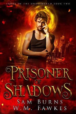 Prisoner of Shadows by Sam Burns