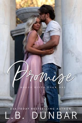 Promise by L.B. Dunbar