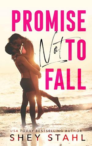 Promise Not To Fall by Shey Stahl