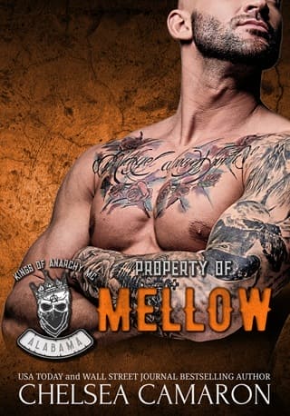 Property of Mellow by Chelsea Camaron