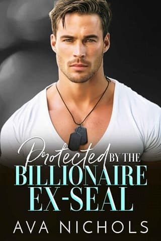 Protected By the Billionaire Ex-SEAL by Ava Nichols