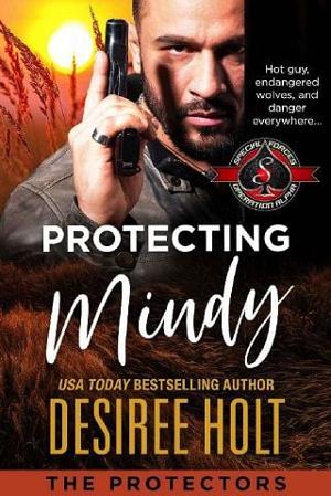 Protecting Mindy by Desiree Holt