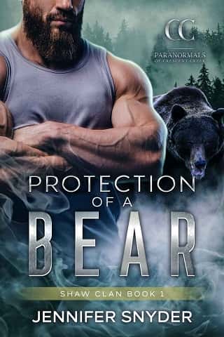 Protection Of A Bear by Jennifer Snyder