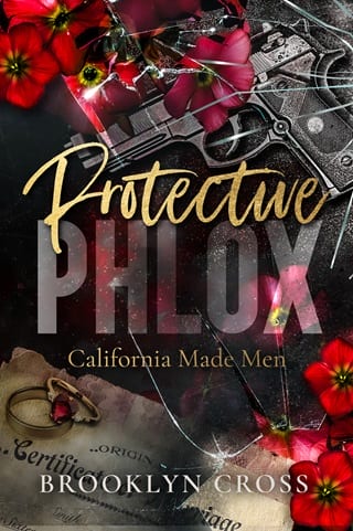 Protective Phlox by Brooklyn Cross