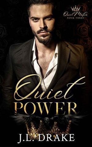 Quiet Power by J.L. Drake