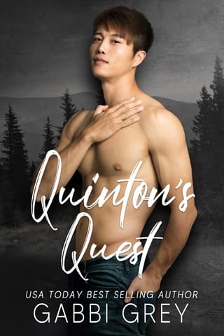 Quinton’s Quest by Gabbi Grey