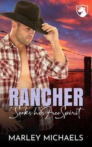 Rancher Seeks his Free Spirit by Marley Michaels