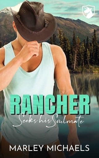 Rancher Seeks his Soulmate by Marley Michaels