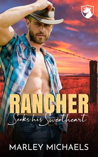 Rancher Seeks his Sweetheart by Marley Michaels